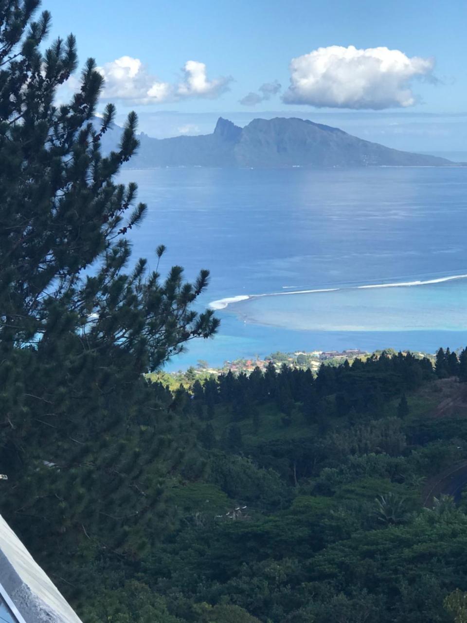Residence Aito Punaauia  Luaran gambar