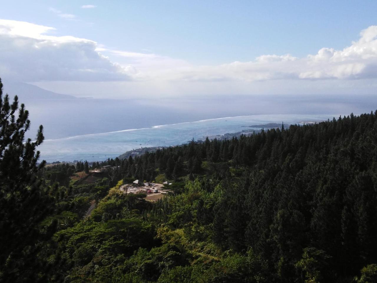 Residence Aito Punaauia  Luaran gambar